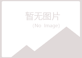 建始县白山化学有限公司